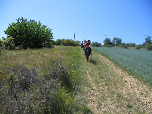  Paseos a caballo en verano viaje